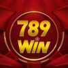 789Win65 com – Sân chơi cá cược uy tín hàng đầu Việt Nam