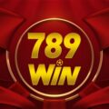 789Win65 com – Sân chơi cá cược uy tín hàng đầu Việt Nam