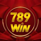 789Win65 com – Sân chơi cá cược uy tín hàng đầu Việt Nam